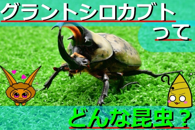 Thumbnail of post image 050